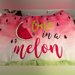 One in a melon birthday supplies